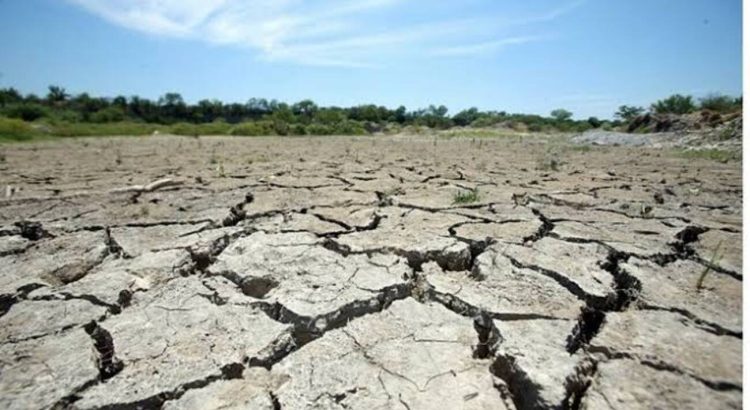 Buscan frenar sequía en Aguascalientes
