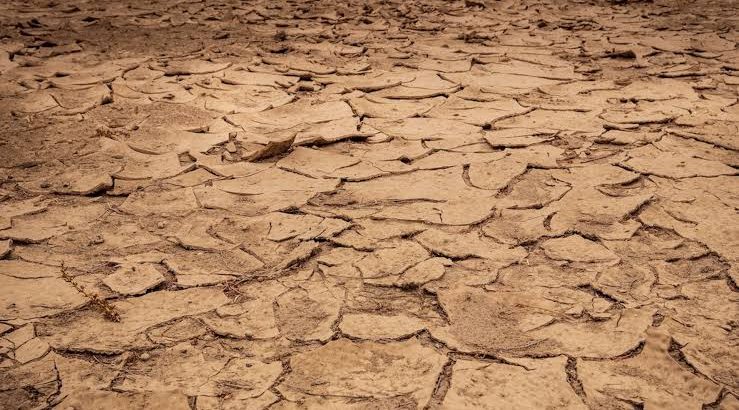 Presenta Aguascalientes sequía severa