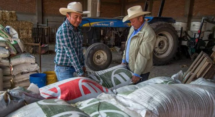 Entregan fertilizante gratuito en Aguascalientes