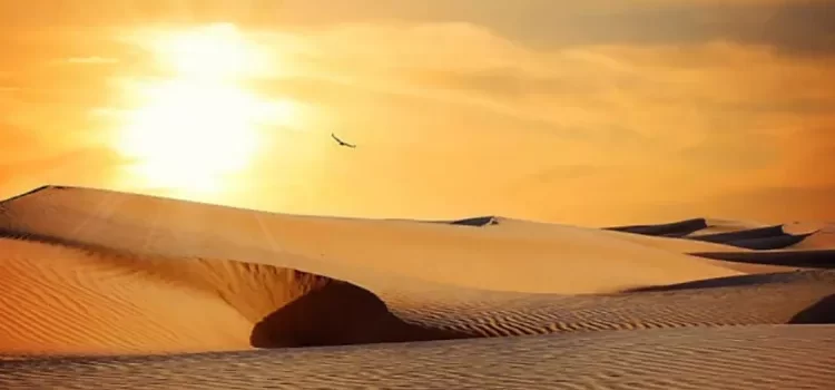 Desierto de Altar, el lugar más caluroso del mundo