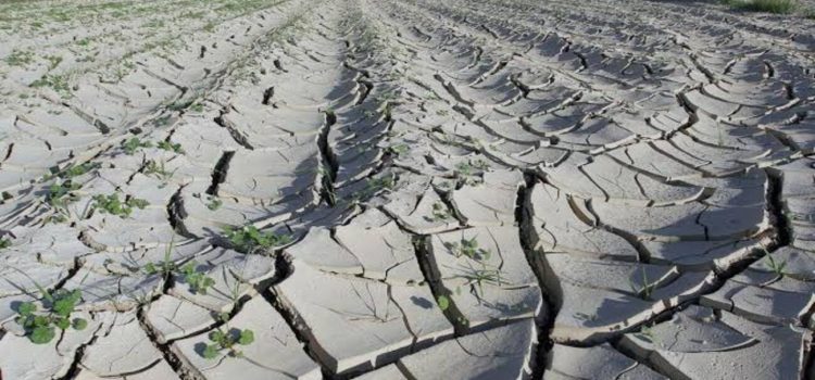 Aguascalientes entre las entidades con mayor déficit de lluvias