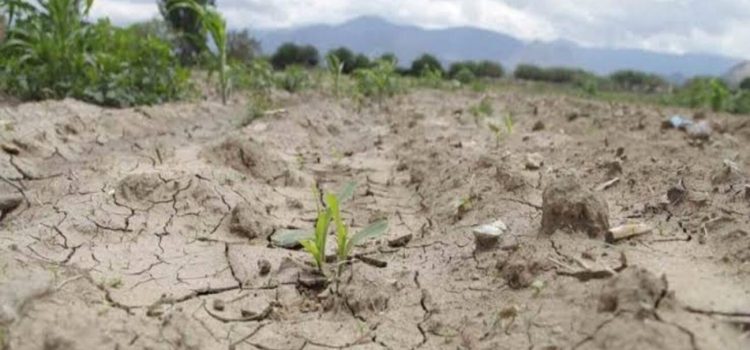 Continúa la sequía extrema en Aguascalientes