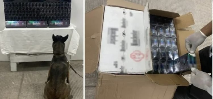 Decomisan 40 mil cigarros ilegales en Aguascalientes