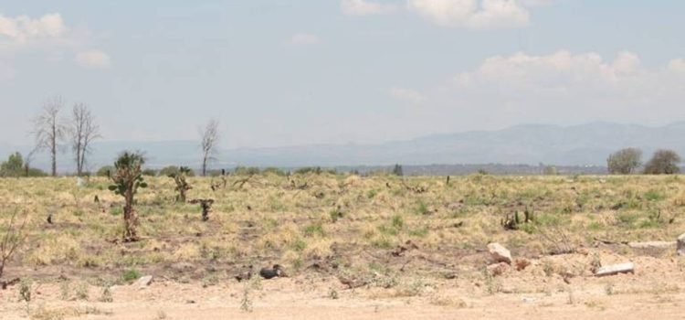 Persiste el problema de sequía extrema en Aguascalientes