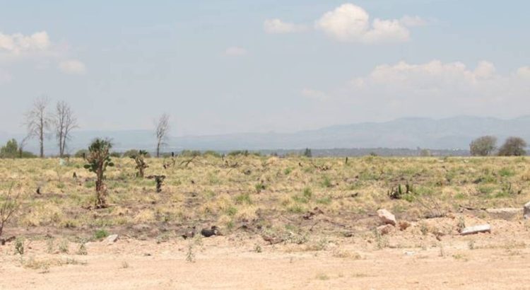 Persiste el problema de sequía extrema en Aguascalientes