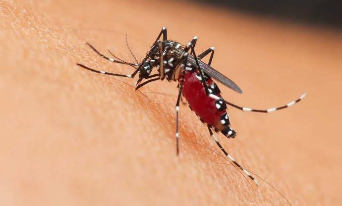 Incrementan casos de dengue en Aguascalientes
