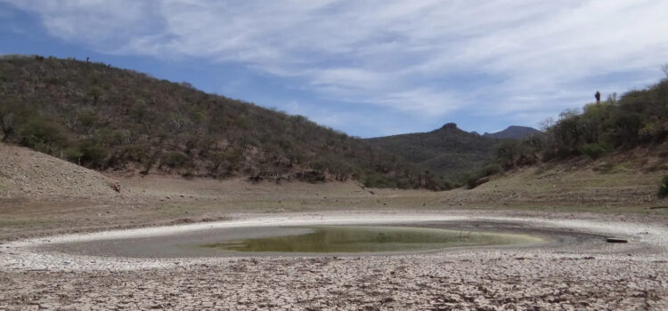 Retraso en declaratoria de emergencia por sequía en Aguascalientes persiste