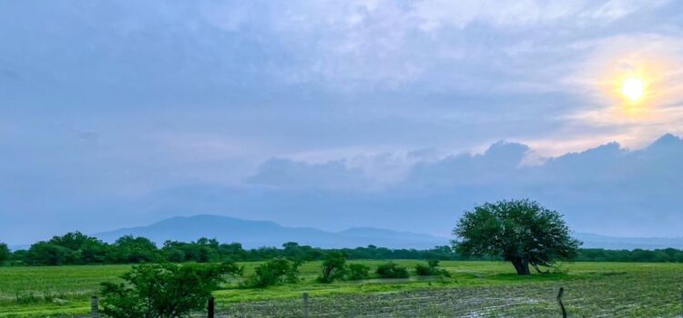 Aguascalientes recuperará lluvias de los últimos dos años este 2024: SEDRAE