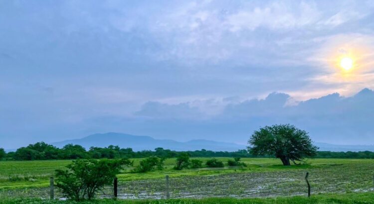 Aguascalientes recuperará lluvias de los últimos dos años este 2024: SEDRAE