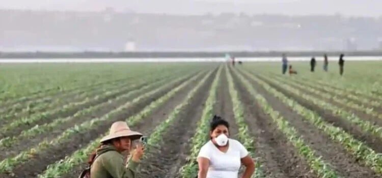 Inician campesinos huelga de 72 horas en California