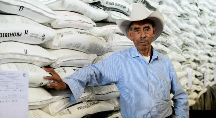 Extienden plazo en Aguascalientes para inscribirse al programa de fertilizantes gratuitos