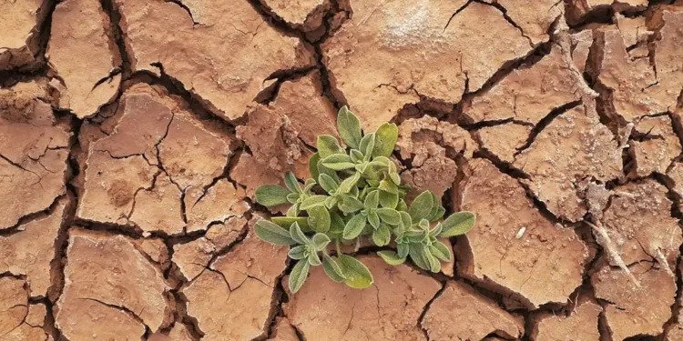 Se dirige el planeta hacia un catastrófico calentamiento de 2.5°C advierte la ONU Se dirige el planeta hacia un catastrófico calentamiento de 2.5°C advierte la ONU