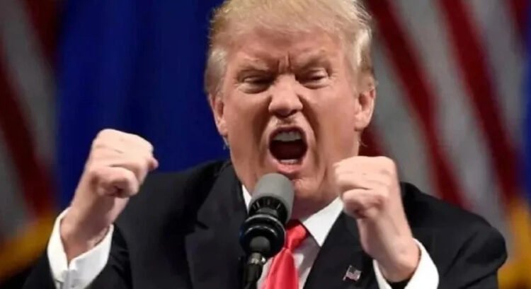 Adelanta Trump “ataques por tierra” a cárteles del narcotráfico