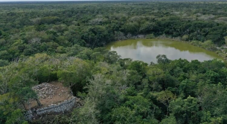 Descubren nuevas estructuras mayas en zona cercana a Tekal de Venegas, Yucatán